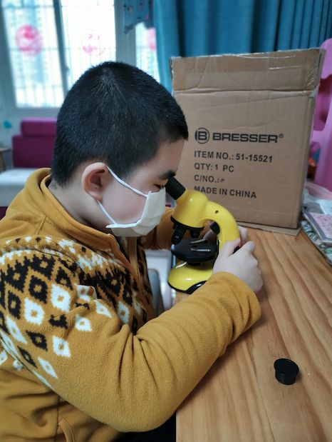 ����������ƻ�